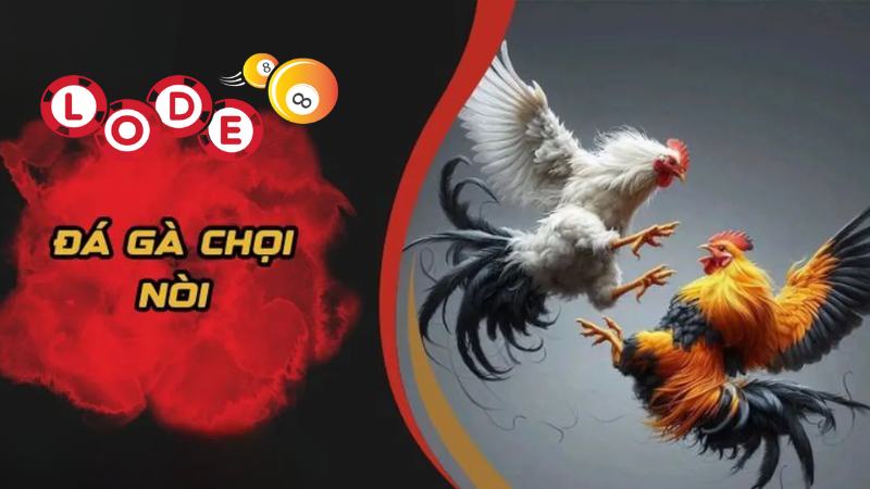 Sảnh đá gà online quy tụ những trận đấu nghẹt thở