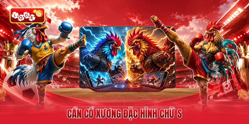 Cần cổ xương đặc hình chữ S