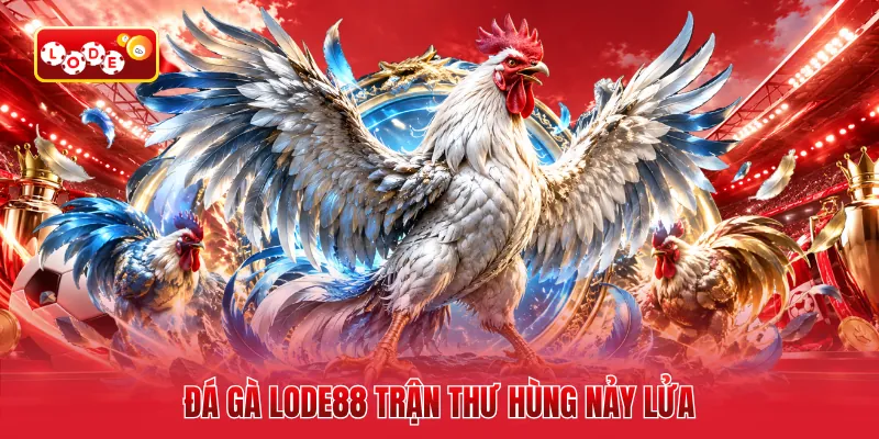 Đá gà LODE88 trận thư hùng nảy lửa
